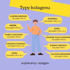 Ilustracja pokazuje, że kolagen typu 1 i 3 jest kluczowy dla skóry, ścięgien i naczyń krwionośnych.