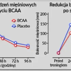 BCAA przed czy po treningu? Dopasuj do celu i zyskaj więcej!