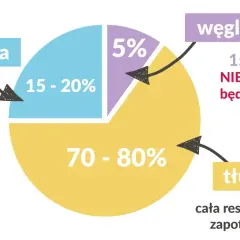 Wykres kołowy pokazuje proporcje makroskładników: białka (15-20%), węglowodany (5%) i tłuszcze (70-80%).