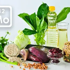 Wykres pierwiastków z symbolem Mo (molibden) obok produktów bogatych w ten pierwiastek: wątróbka, fasola, soja, orzeszki ziemne, jęczmień, olej i zielone warzywa liściaste.