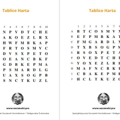 Tablice Harta: Jak ćwiczyć? Poradnik eksperta Fryderyka Walczaka