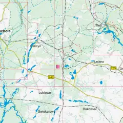 Bory Tucholskie: Trasy rowerowe. Planuj idealną wyprawę!