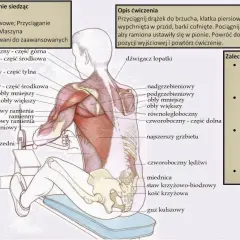 Anatomia mięśnia obłego większego podczas wiosłowania na maszynie siedząc. Mięsień obły większy jest widoczny na ramieniu.
