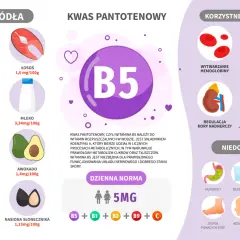 Wizualizacja przedstawia witaminę B5, jej źródła (jajka, łosoś, pszenica, mleko, orzechy, awokado, brokuły, nasiona słonecznika), korzystne działanie (hemoglobina, odporność, nadnercza, cholesterol) i objawy niedoboru.