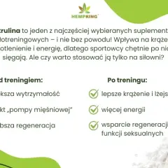 Cytrulina: przed czy po treningu? Odkryj, kiedy działa najlepiej!
