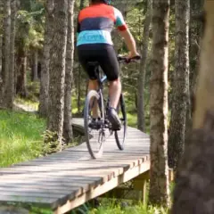 Kotlina Kłodzka: Rowerowy raj? Odkryj Singletrack Glacensis!