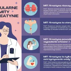 Grafika obala mity o kreatynie: nie niszczy nerek, nie jest sterydem, nie powoduje łysienia ani tylko zatrzymywania wody.