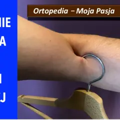 Zerwanie bicepsa w części dalszej. Widoczny hak wbit w mięsień, symbolizujący uraz.