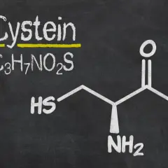 Struktura L-cysteiny (C3H7NO2S) i jej potencjalna szkodliwość.