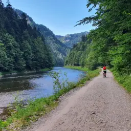 Rowerzysta na trasie Velo Dunajec, wśród zielonych wzgórz i szmaragdowej rzeki.