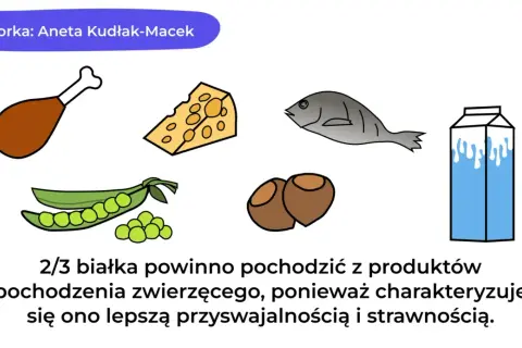 Dieta białkowa co jeść? Na ilustracji: kurczak, ser, ryba, fasolka, orzechy, mleko. Białko zwierzęce jest lepiej przyswajalne.