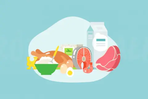 Różnorodne źródła białka: kurczak, ryba, mięso, jajka, tofu, nabiał i ser. Zastanawiasz się, ile białka dziennie potrzebujesz?