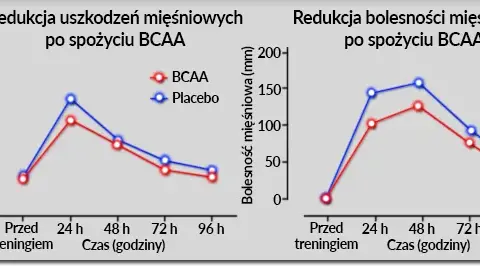 BCAA przed czy po treningu? Dopasuj do celu i zyskaj więcej!