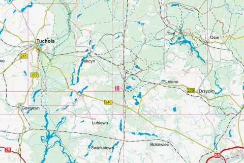 Bory Tucholskie: Trasy rowerowe. Planuj idealną wyprawę!