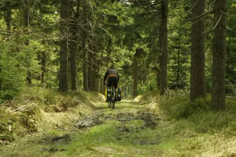 Góry Sowie na rowerze: Jak zaplanować idealną wycieczkę?