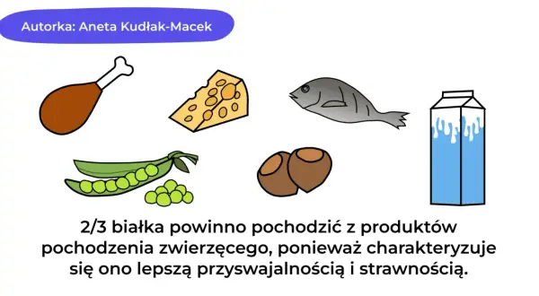 Dieta białkowa co jeść? Na ilustracji: kurczak, ser, ryba, fasolka, orzechy, mleko. Białko zwierzęce jest lepiej przyswajalne.