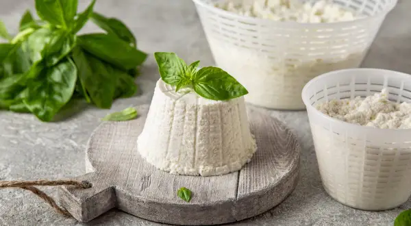Świeży serek ricotta na desce, ozdobiony bazylią. Obok dwa pojemniki z serkiem i gałązka bazylii.