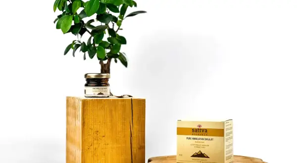 Sattva Ayurveda prezentuje czysty himalajski shilajit. Dowiedz się, shilajit co to jest i jakie ma właściwości.