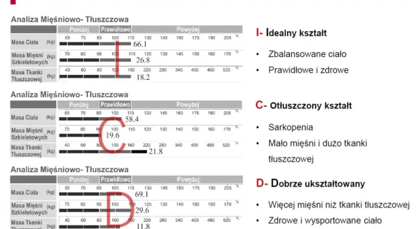 Analiza mięśniowo-tłuszczowa: idealny, otłuszczony i dobrze ukształtowany. Ile białka na redukcji? Zbilansowane ciało to klucz.