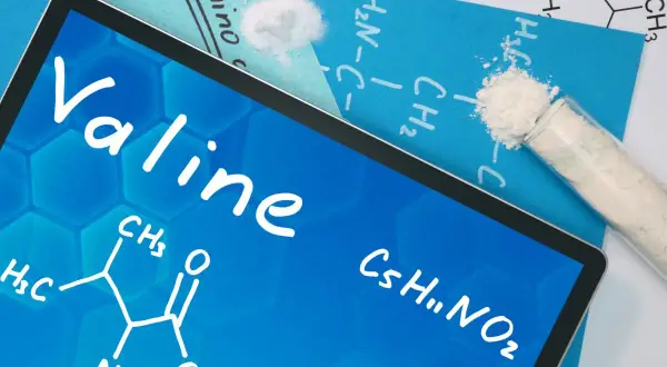 Tablet z napisem "Valine" i wzorem chemicznym. Obok probówka z białym proszkiem, symbolizującym tę aminokwas.