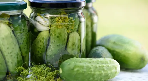 Słoiki z ogórkami kiszonymi, czosnkiem i koprem. Domowe, naturalne probiotyki gotowe do spożycia.