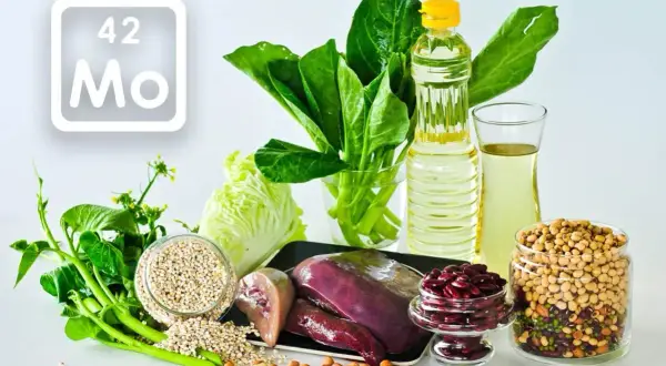 Wykres pierwiastków z symbolem Mo (molibden) obok produktów bogatych w ten pierwiastek: wątróbka, fasola, soja, orzeszki ziemne, jęczmień, olej i zielone warzywa liściaste.