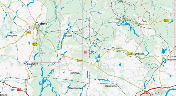 Bory Tucholskie: Trasy rowerowe. Planuj idealną wyprawę!