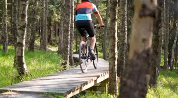 Kotlina Kłodzka: Rowerowy raj? Odkryj Singletrack Glacensis!