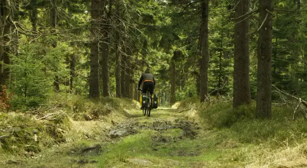 Góry Sowie na rowerze: Jak zaplanować idealną wycieczkę?