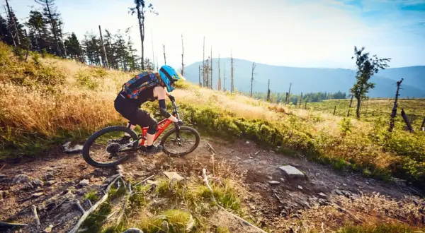 Odkryj rowerowy raj: Świeradów-Zdrój trasy, singletracki, gondola