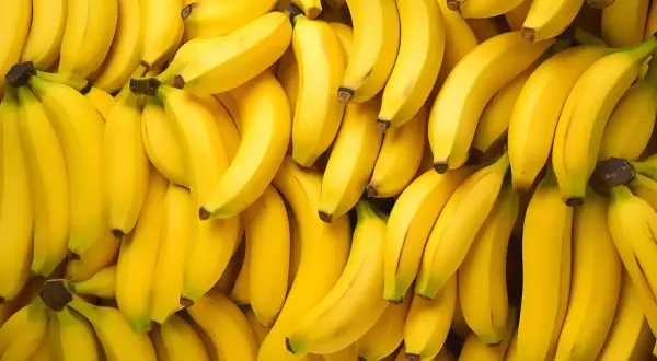 Mnóstwo dojrzałych bananów. Zastanawiasz się, ile węglowodanów ma banan? To świetne źródło energii!