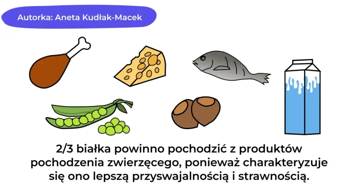 Dieta białkowa co jeść? Na ilustracji: kurczak, ser, ryba, fasolka, orzechy, mleko. Białko zwierzęce jest lepiej przyswajalne.