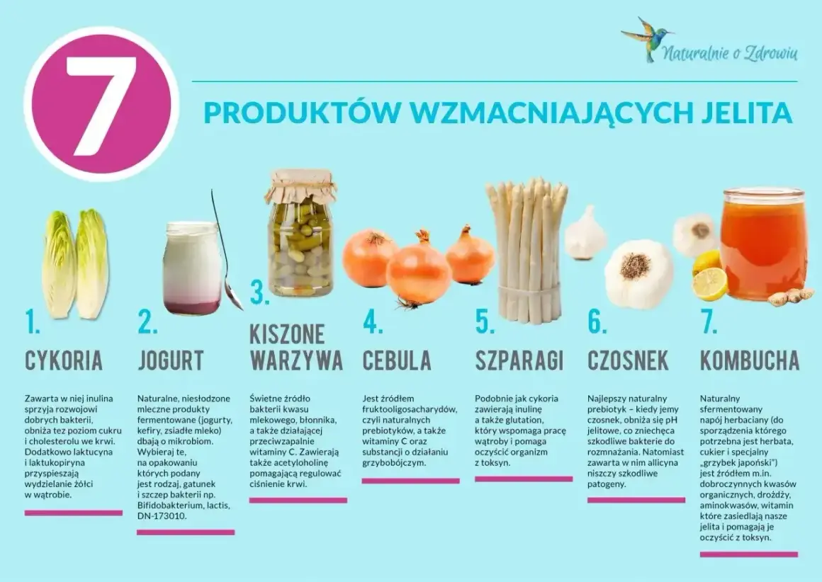 Cykoria, jogurt, kiszone warzywa, cebula, szparagi, czosnek i kombucha – naturalne produkty wspierające jelita. Czosnek to najlepszy probiotyk na jelita.