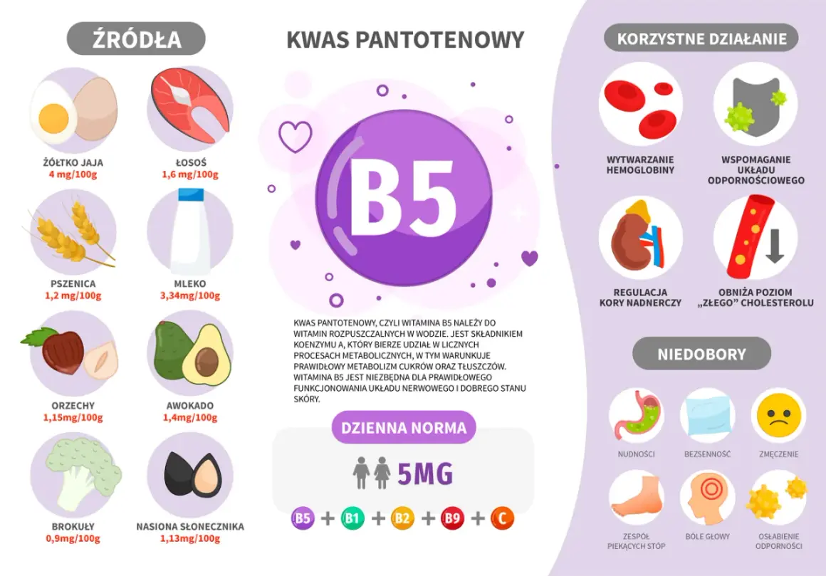 Wizualizacja przedstawia witaminę B5, jej źródła (jajka, łosoś, pszenica, mleko, orzechy, awokado, brokuły, nasiona słonecznika), korzystne działanie (hemoglobina, odporność, nadnercza, cholesterol) i objawy niedoboru.