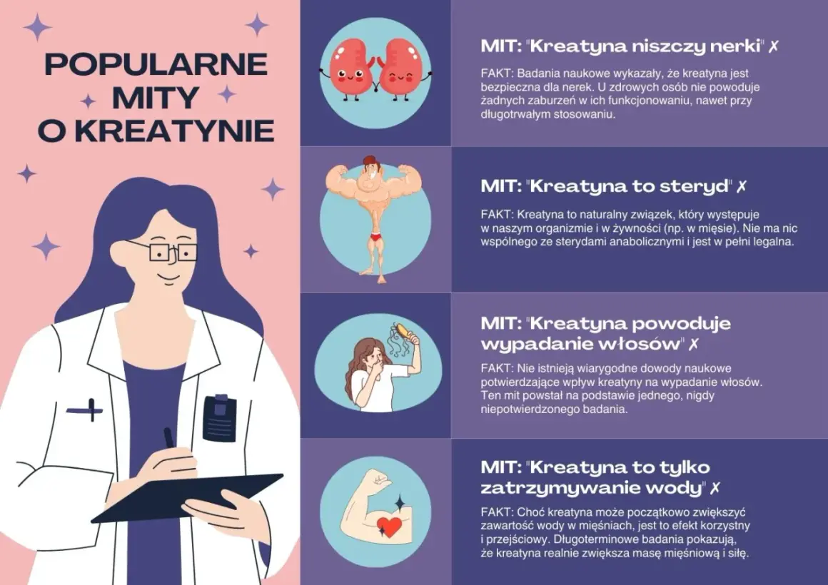 Grafika obala mity o kreatynie: nie niszczy nerek, nie jest sterydem, nie powoduje łysienia ani tylko zatrzymywania wody.