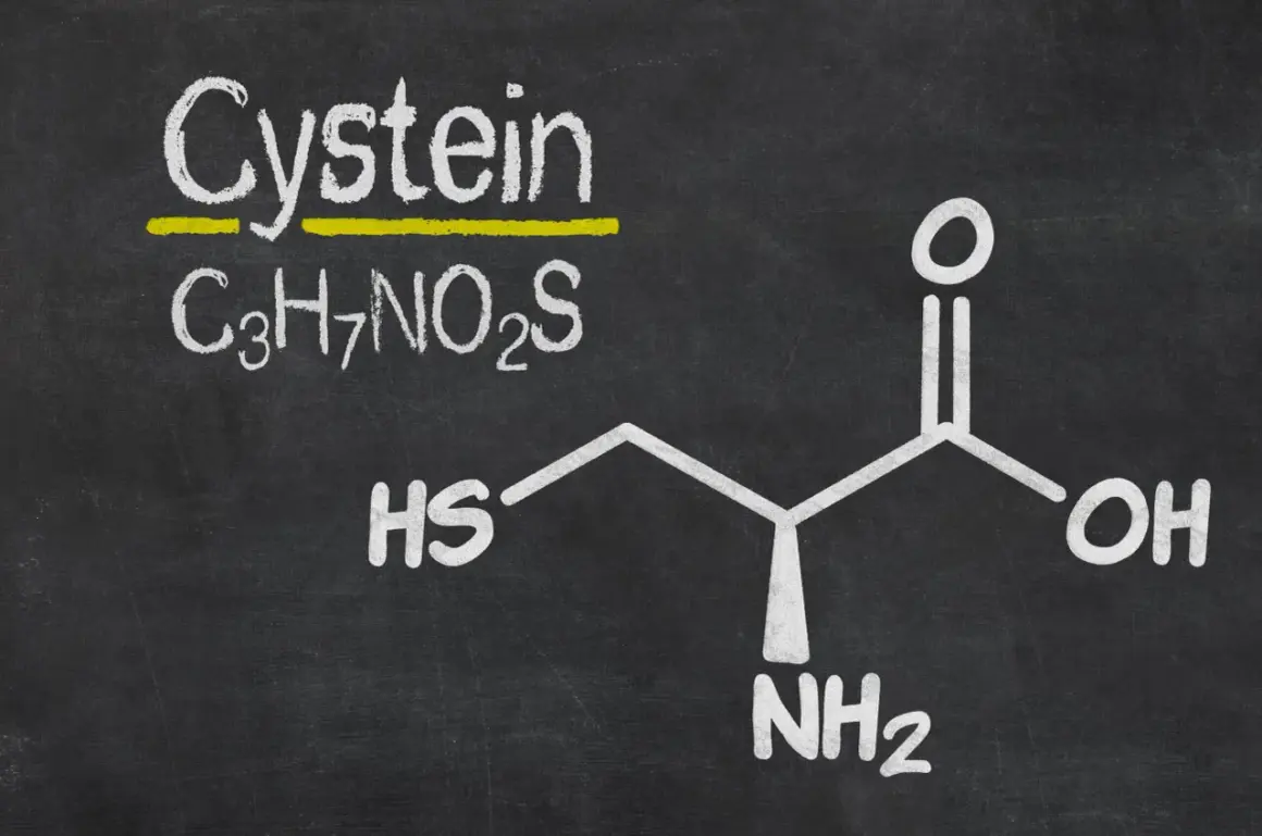 Struktura L-cysteiny (C3H7NO2S) i jej potencjalna szkodliwość.
