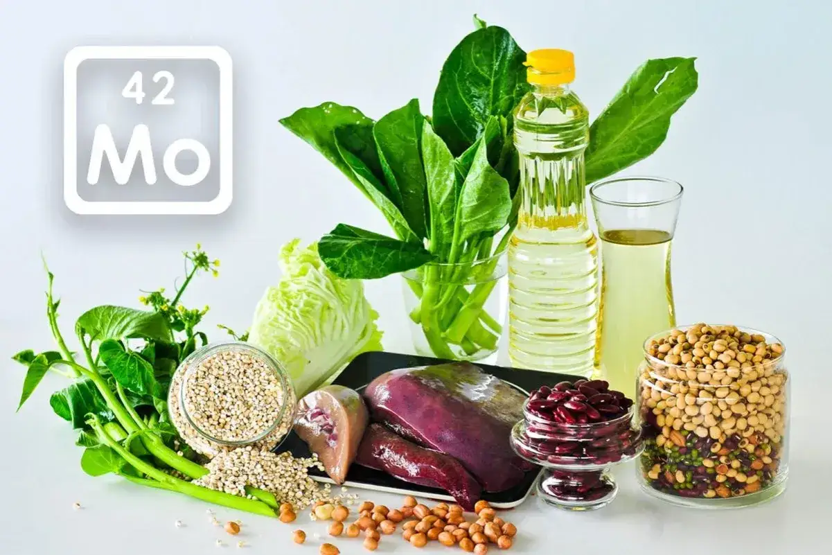 Wykres pierwiastków z symbolem Mo (molibden) obok produktów bogatych w ten pierwiastek: wątróbka, fasola, soja, orzeszki ziemne, jęczmień, olej i zielone warzywa liściaste.