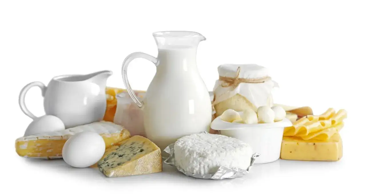 Różnorodne produkty mleczne: mleko w dzbanku, sery, jogurt, jajka. Kazeina w czym jest? W tych produktach.