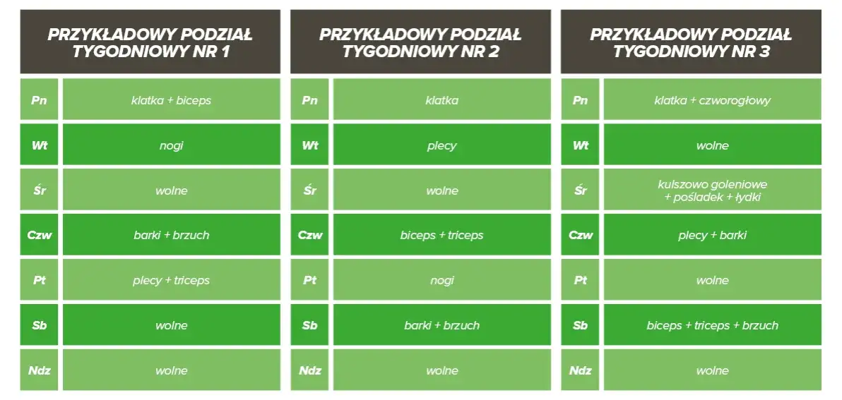plany treningowe split fbw ppl