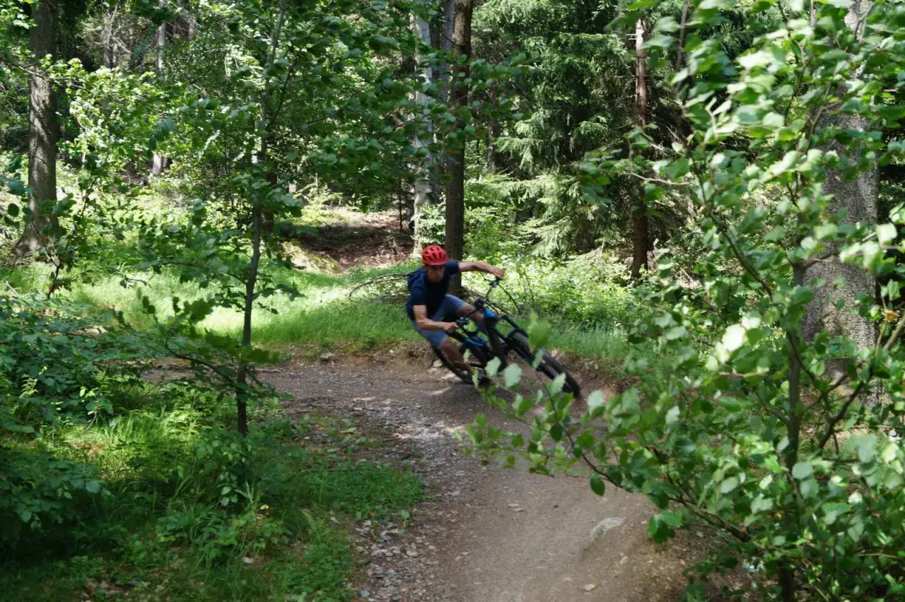 Single Track Zajęcznik Świerad&oacute;w-Zdr&oacute;j