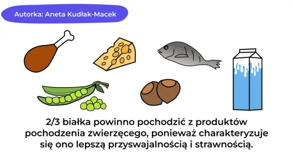 Dieta białkowa co jeść? Na ilustracji: kurczak, ser, ryba, fasolka, orzechy, mleko. Białko zwierzęce jest lepiej przyswajalne.