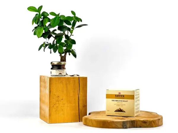 Sattva Ayurveda prezentuje czysty himalajski shilajit. Dowiedz się, shilajit co to jest i jakie ma właściwości.
