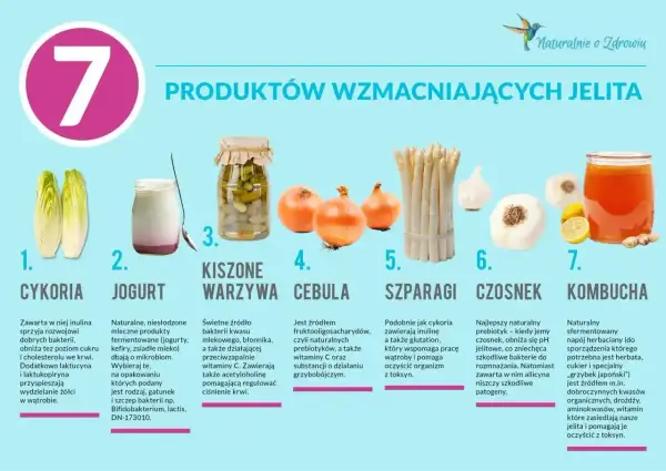 Cykoria, jogurt, kiszone warzywa, cebula, szparagi, czosnek i kombucha – naturalne produkty wspierające jelita. Czosnek to najlepszy probiotyk na jelita.