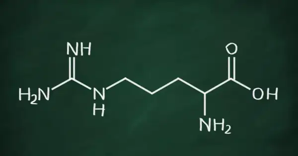 Struktura chemiczna argininy, kluczowa dla jej działania w organizmie.