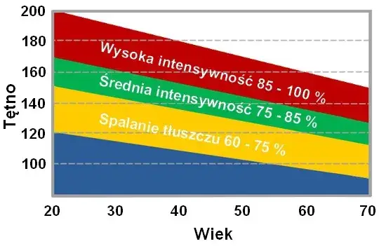 Tętno w bieganiu: Jak trenować efektywnie i spalać tłuszcz?